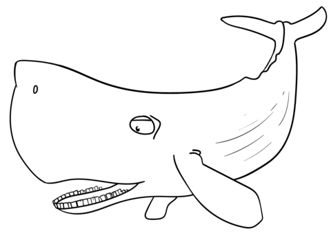 Sperm Whale  Coloring Page